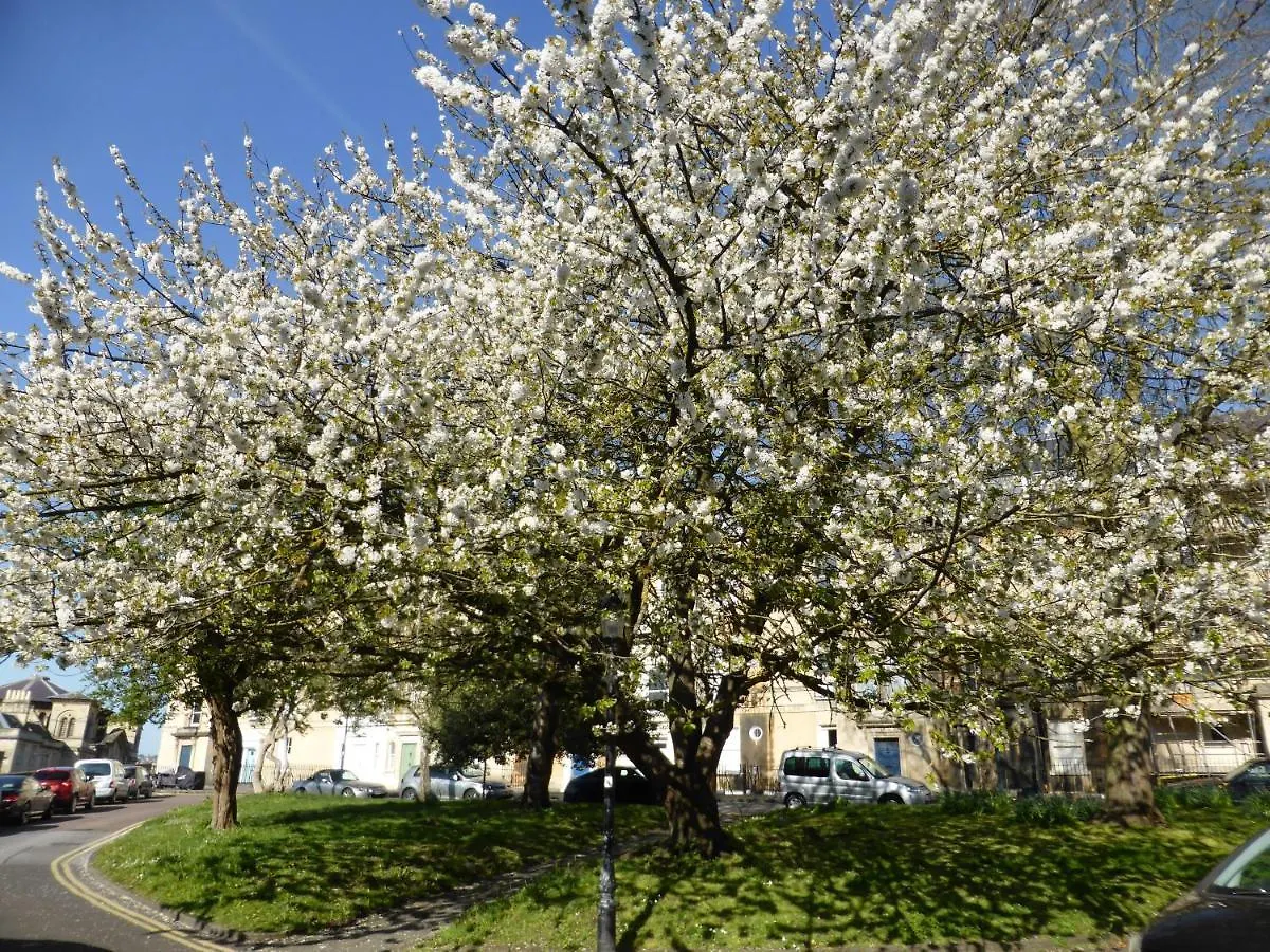 Central Georgian Garden Flat With Free Parking Bath 0*,  United Kingdom